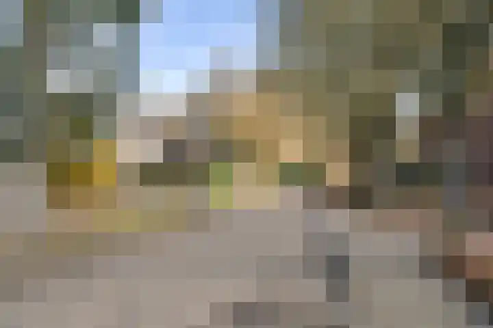 Tarthorst 529 Wageningen thumbnail 13