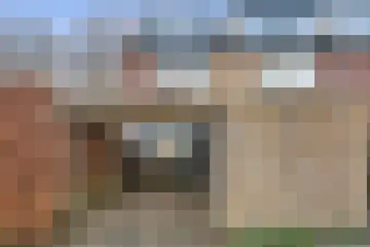 Tarthorst 529 Wageningen thumbnail 6