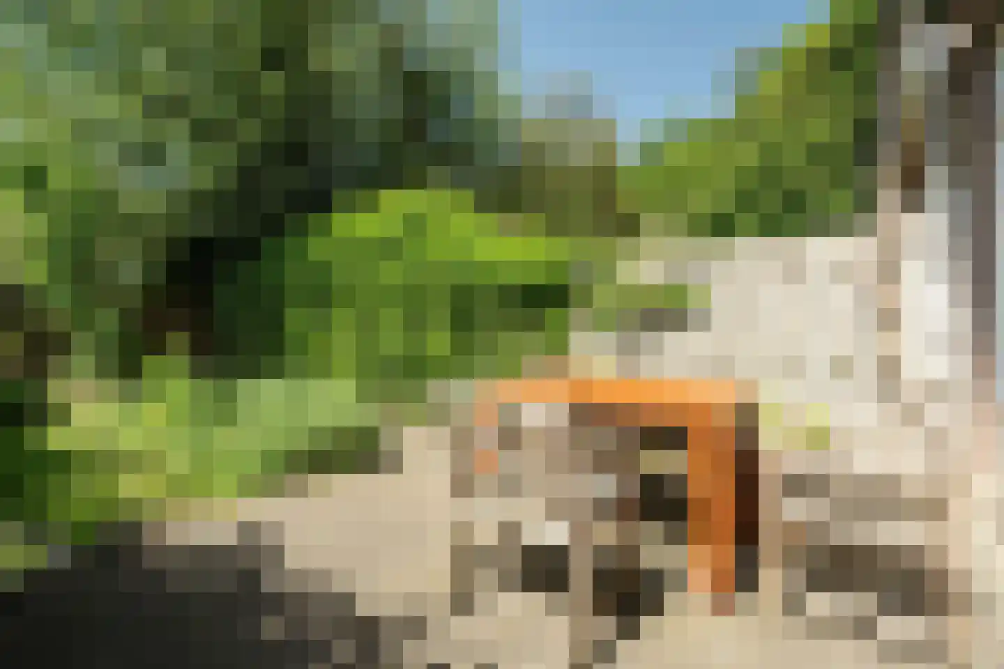 Tarthorst 565 Wageningen thumbnail 26