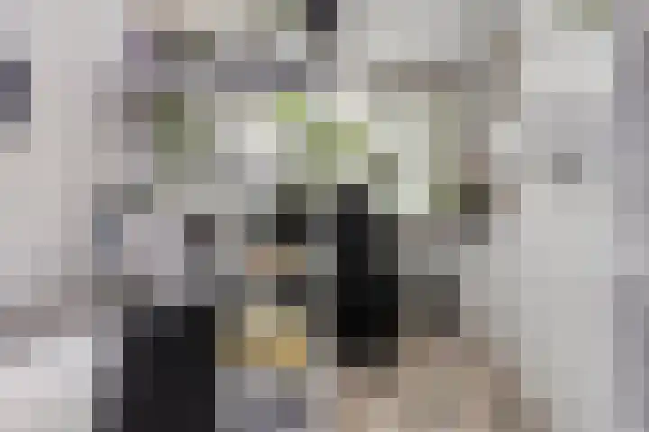 Tarthorst 573 Wageningen thumbnail 33