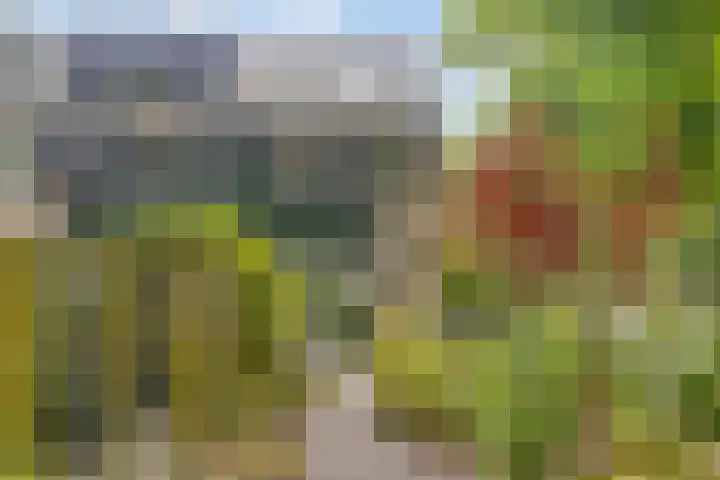 Tarthorst 573 Wageningen thumbnail 40