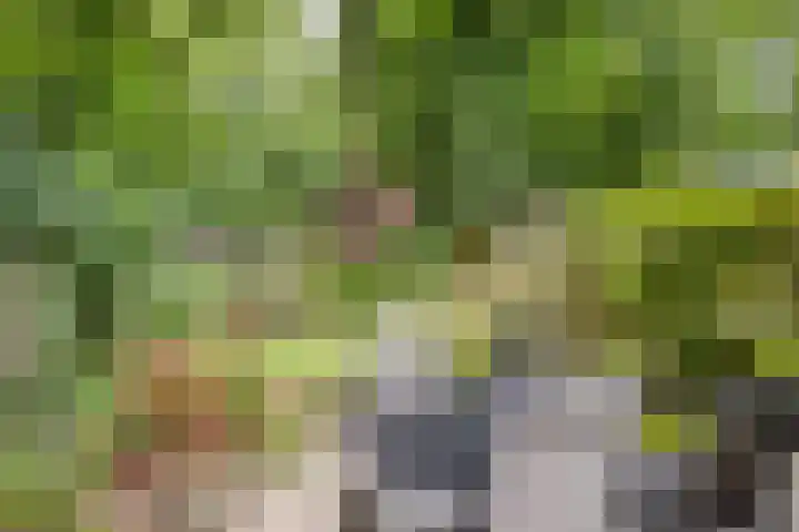 Tarthorst 573 Wageningen thumbnail 41