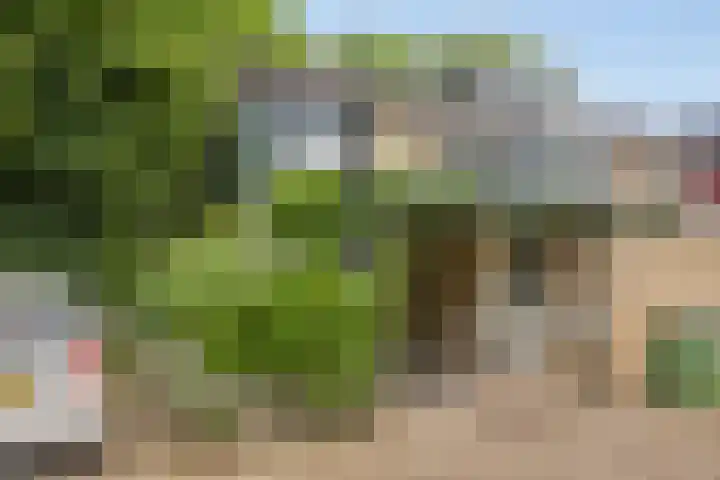 Tarthorst 573 Wageningen thumbnail 5