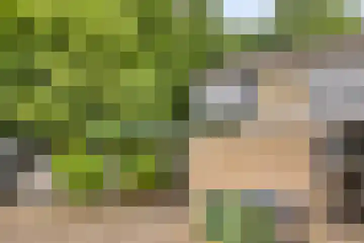Tarthorst 573 Wageningen thumbnail 6