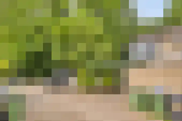 Tarthorst 573 Wageningen thumbnail 7