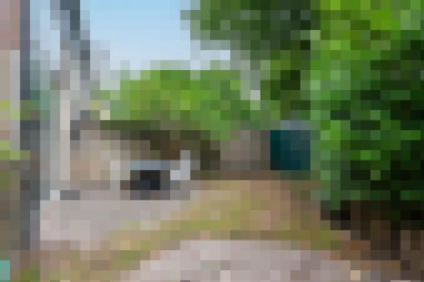Tarthorst 607 Wageningen thumbnail 8