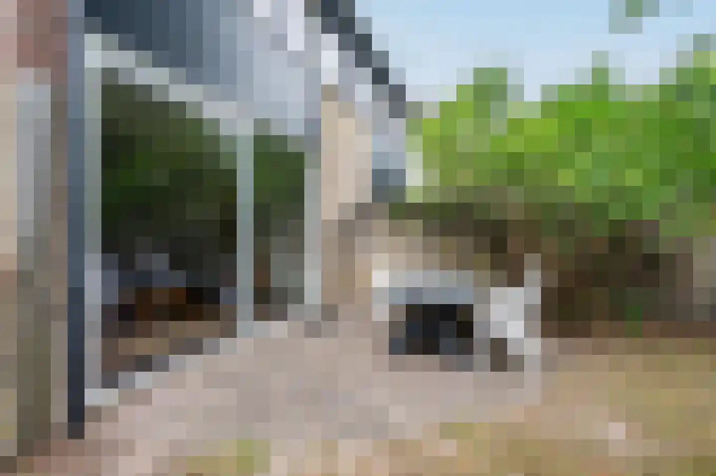 Tarthorst 607 Wageningen thumbnail 9