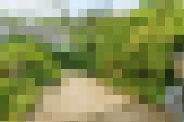 Tarthorst 613 Wageningen thumbnail 22