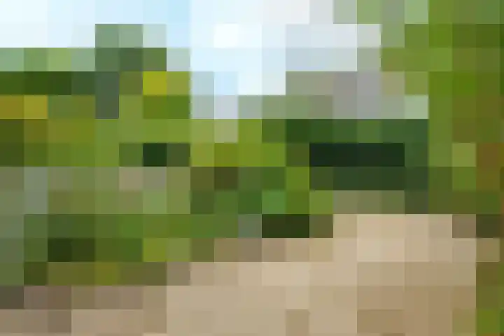 Tarthorst 613 Wageningen thumbnail 23