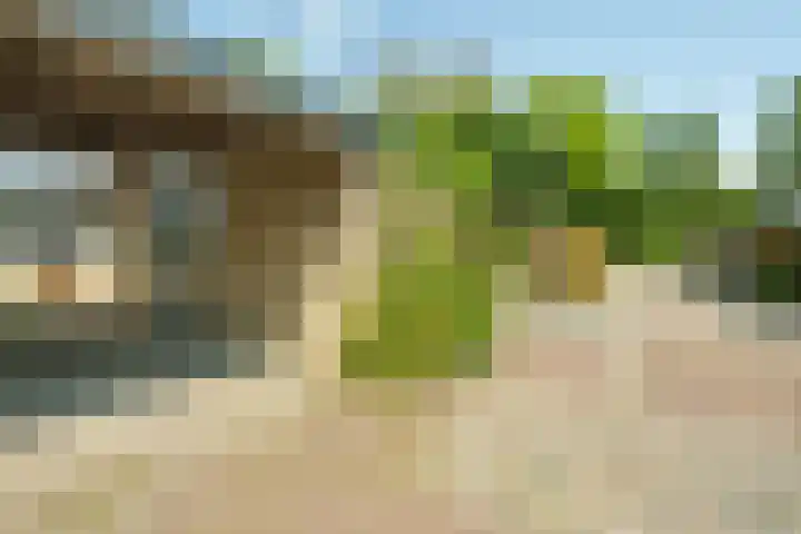 Tarthorst 613 Wageningen thumbnail 4