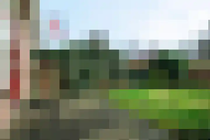 Tarthorst 64 Wageningen thumbnail 21