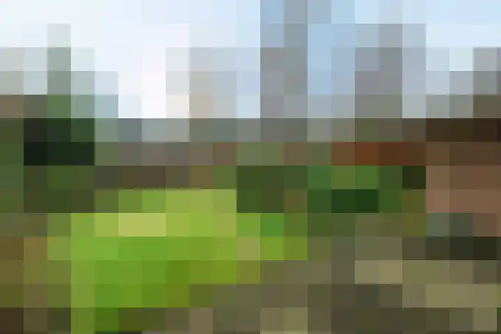 Tarthorst 64 Wageningen thumbnail 23