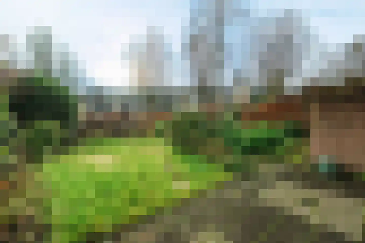 Tarthorst 64 Wageningen thumbnail 23