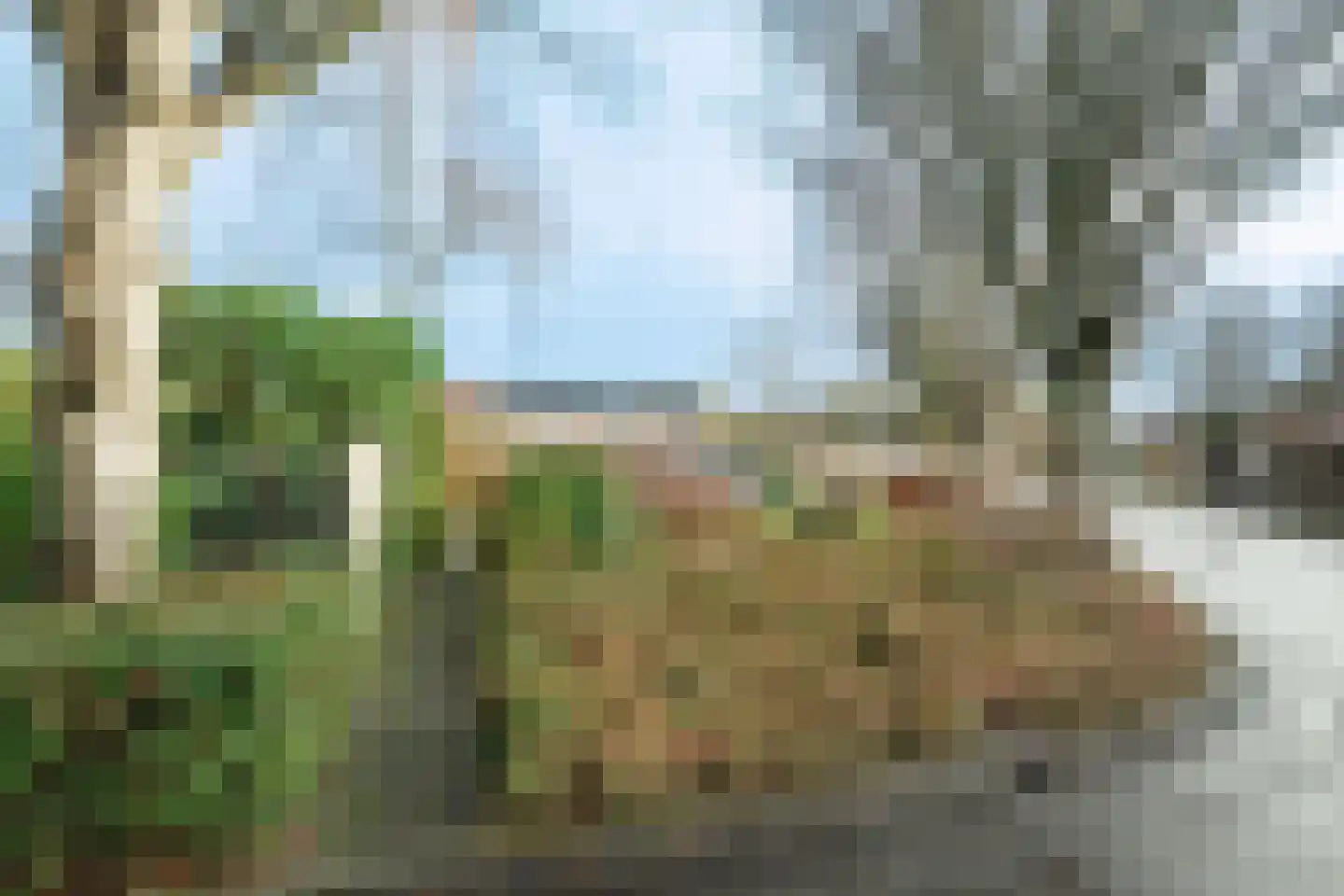 Tarthorst 64 Wageningen thumbnail 25