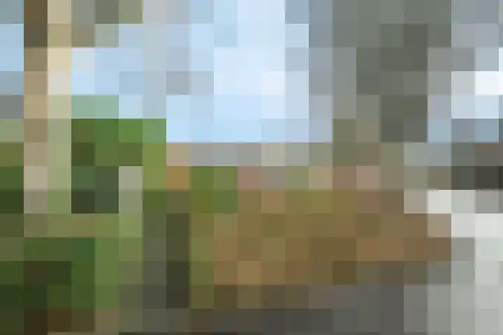 Tarthorst 64 Wageningen thumbnail 25