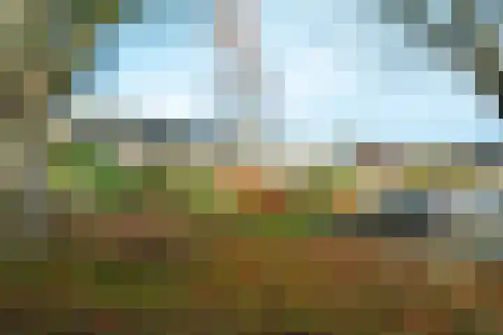 Tarthorst 64 Wageningen thumbnail 26