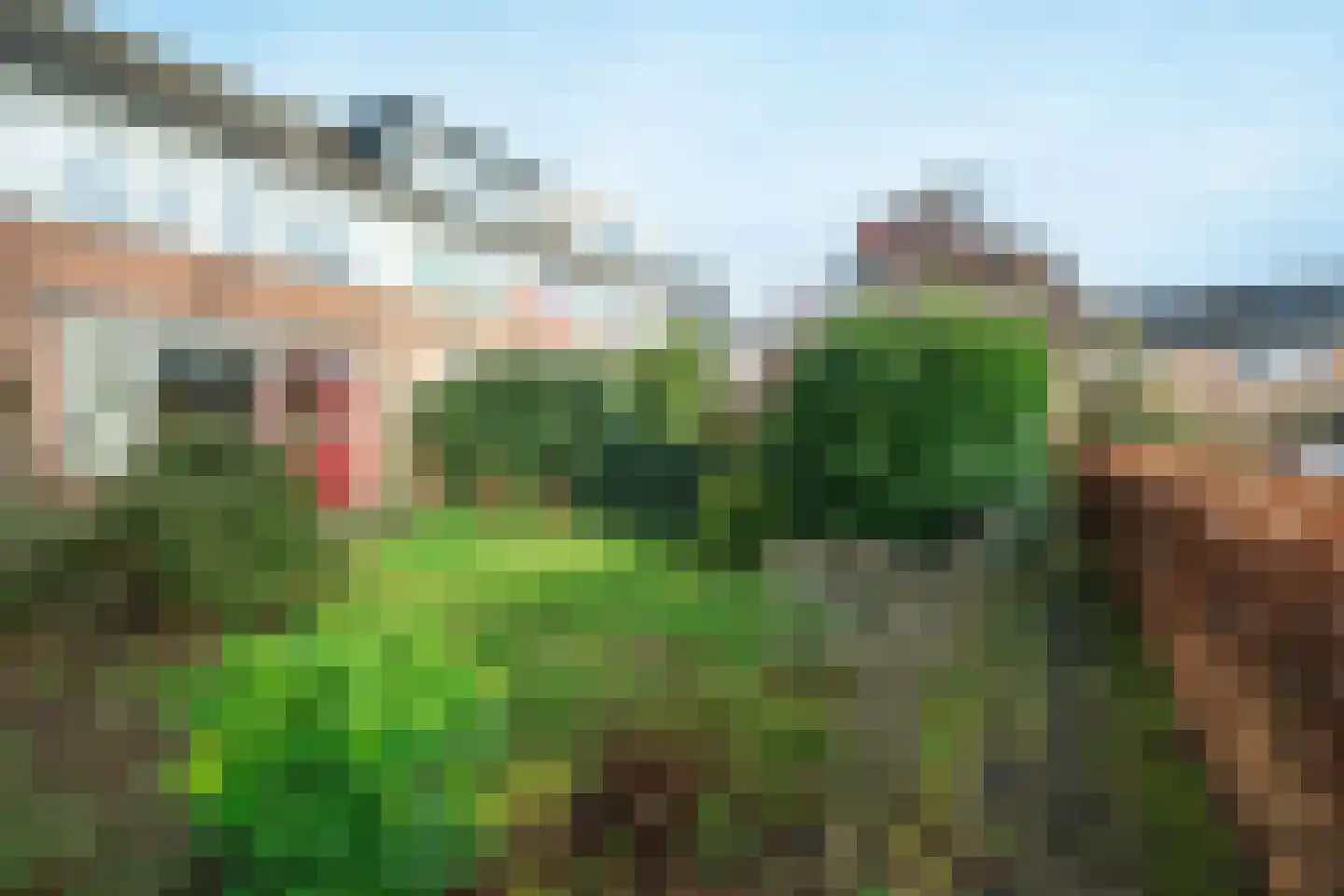 Tarthorst 64 Wageningen thumbnail 27