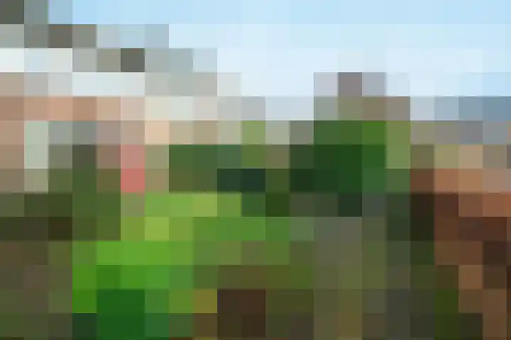 Tarthorst 64 Wageningen thumbnail 27