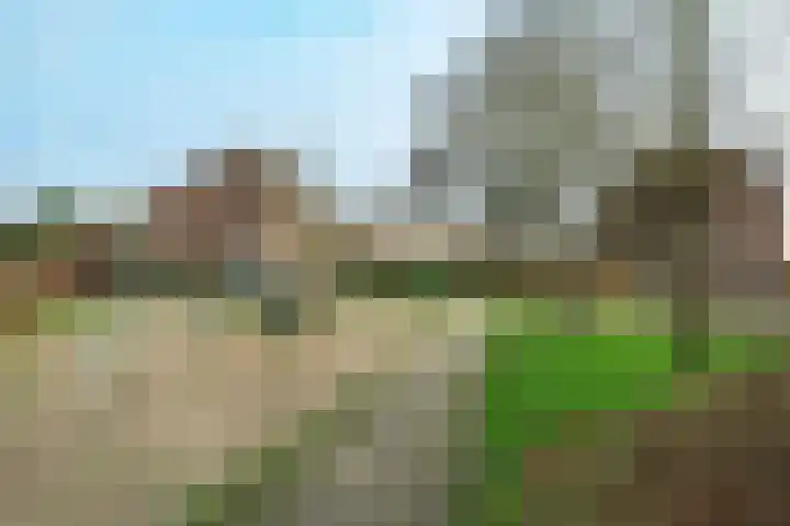 Tarthorst 64 Wageningen thumbnail 28