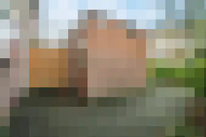 Tarthorst 64 Wageningen thumbnail 4
