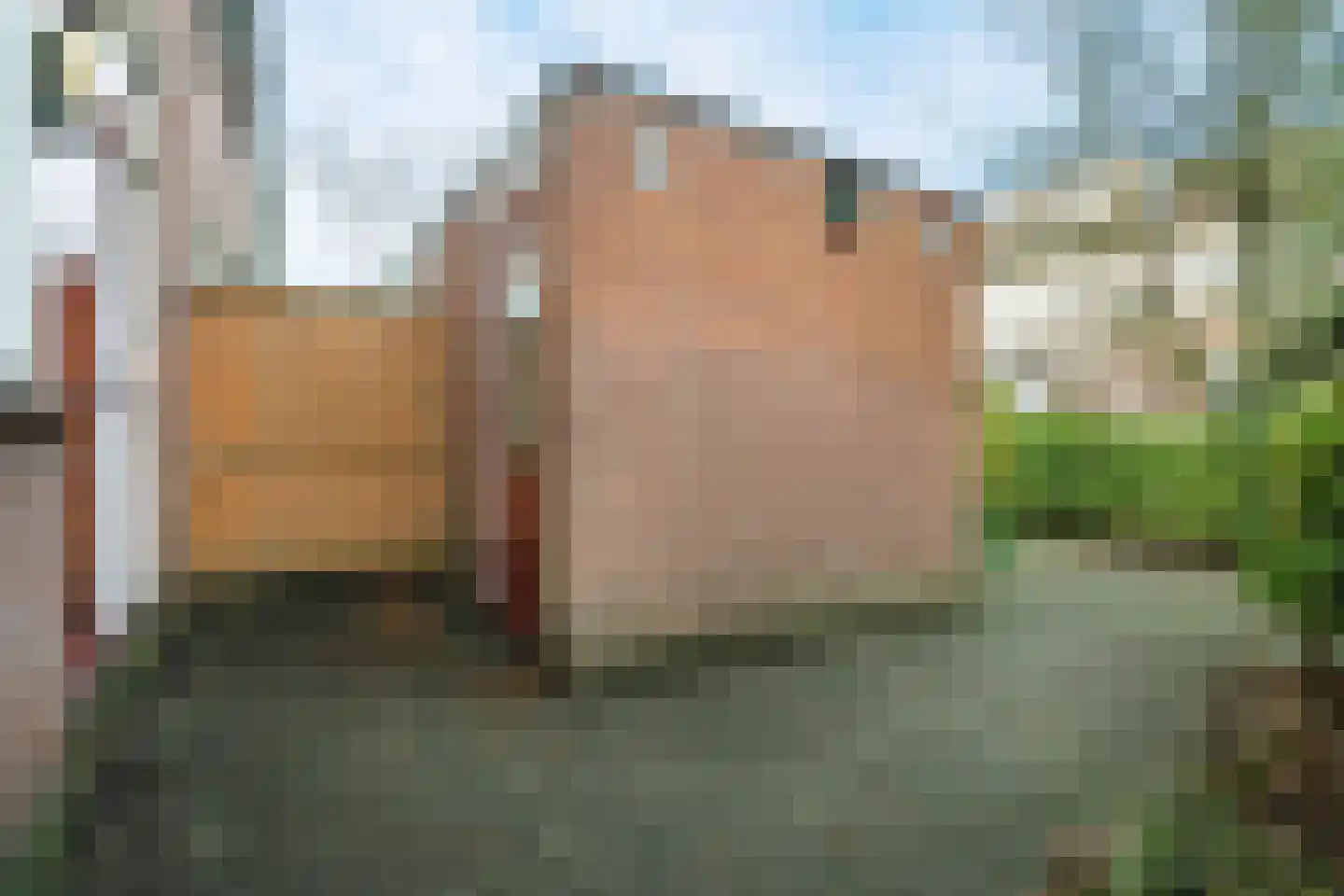 Tarthorst 64 Wageningen thumbnail 4