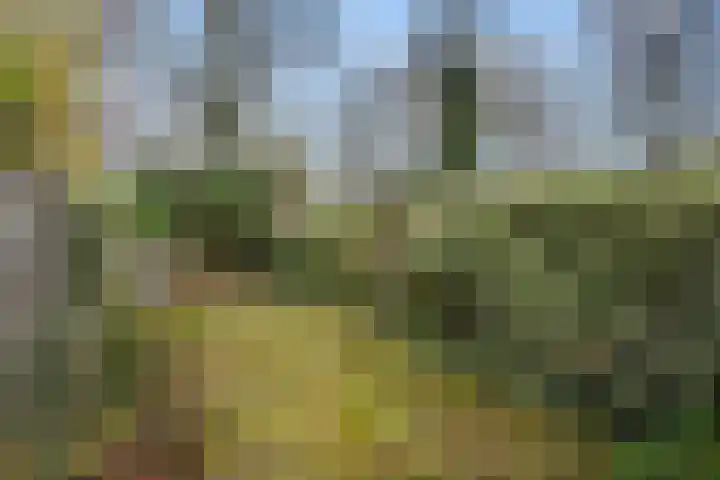 Tarthorst 659 Wageningen thumbnail 41