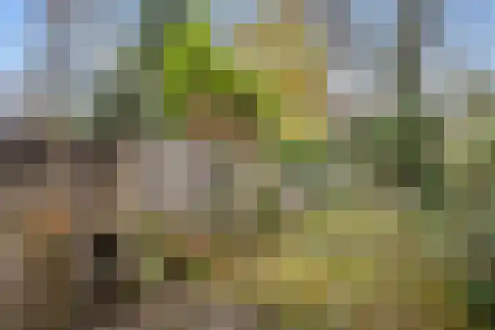 Tarthorst 659 Wageningen thumbnail 42