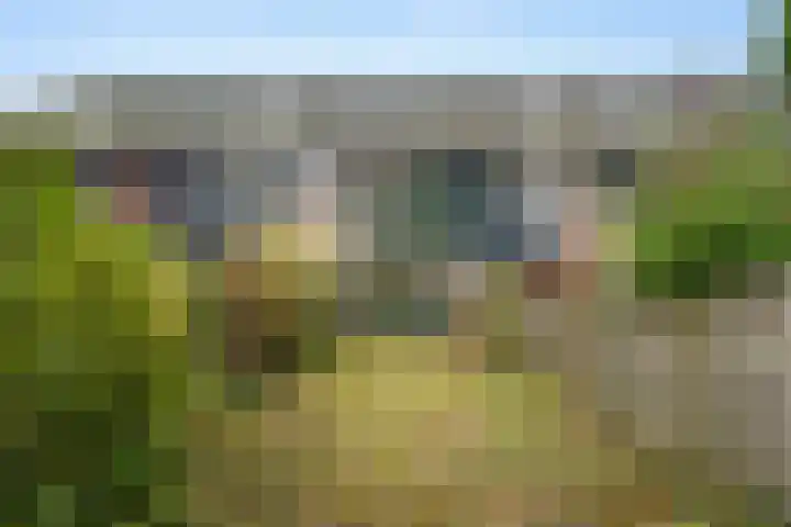 Tarthorst 659 Wageningen thumbnail 45