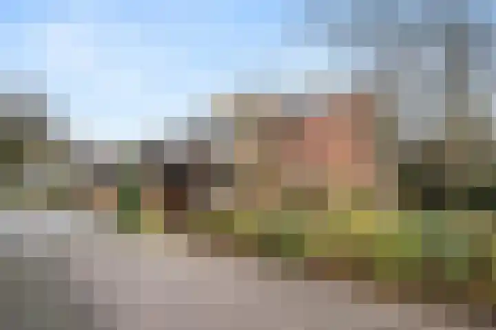 Tarthorst 659 Wageningen thumbnail 48