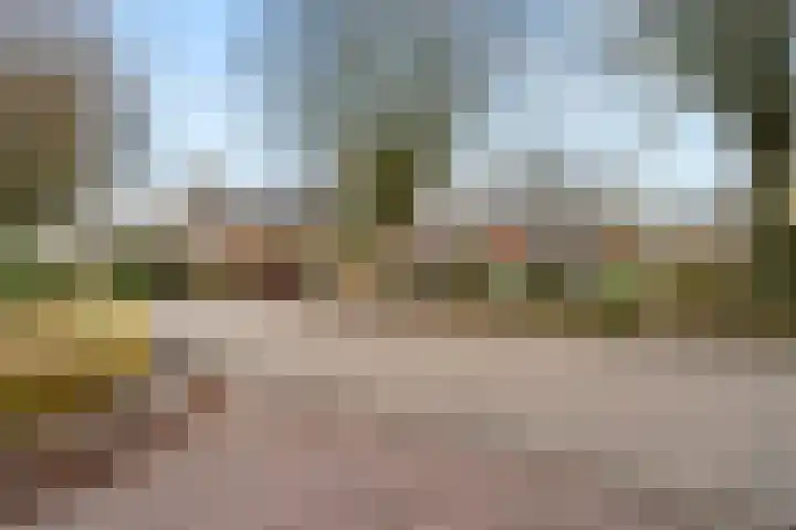 Tarthorst 659 Wageningen thumbnail 50