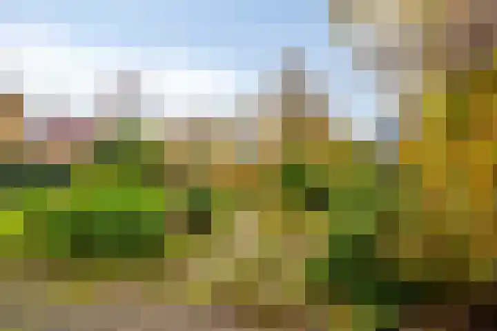 Tarthorst 66 Wageningen thumbnail 31