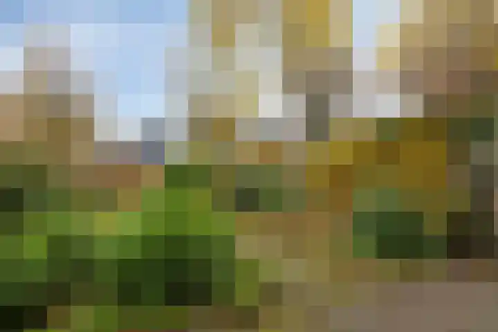 Tarthorst 66 Wageningen thumbnail 32