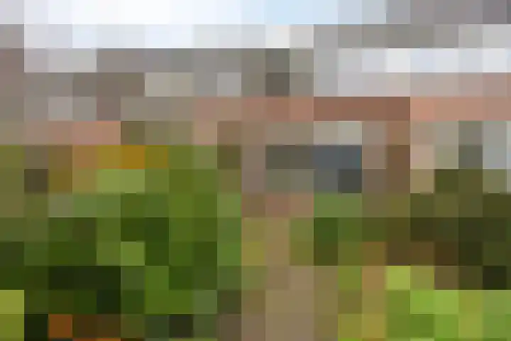 Tarthorst 66 Wageningen thumbnail 33