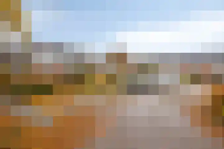 Tarthorst 66 Wageningen thumbnail 34