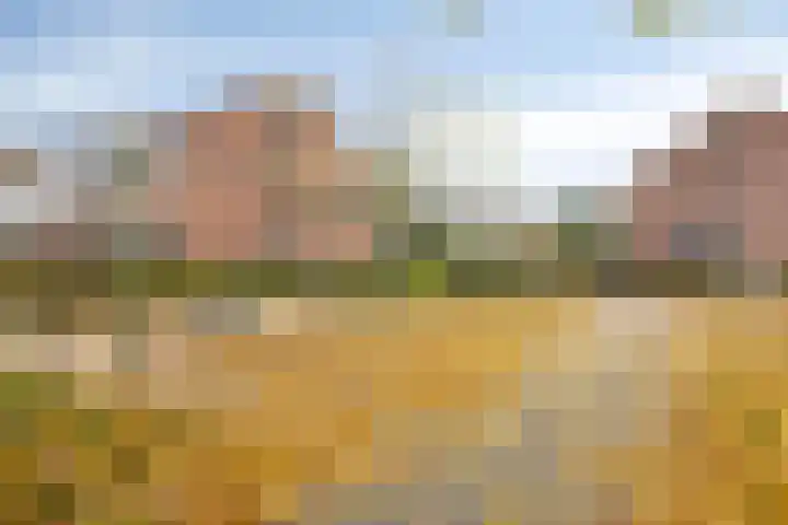 Tarthorst 66 Wageningen thumbnail 35