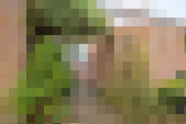 Tarthorst 66 Wageningen thumbnail 5