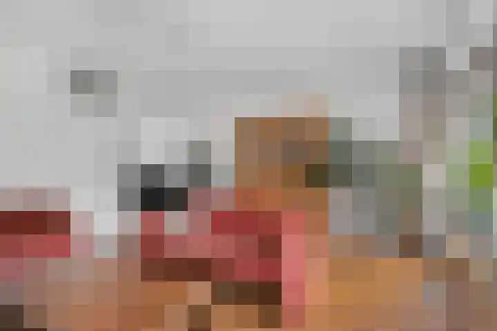 Tarthorst 66 Wageningen thumbnail 9
