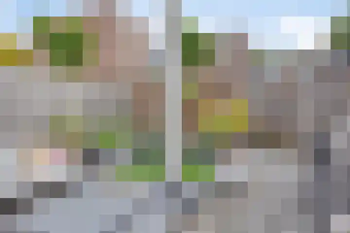 Tarthorst 68 Alphen aan den Rijn thumbnail 31