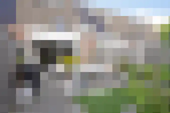 Tarthorst 68 Alphen aan den Rijn thumbnail 33