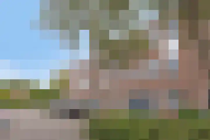 Tarthorst 68 Alphen aan den Rijn thumbnail 36