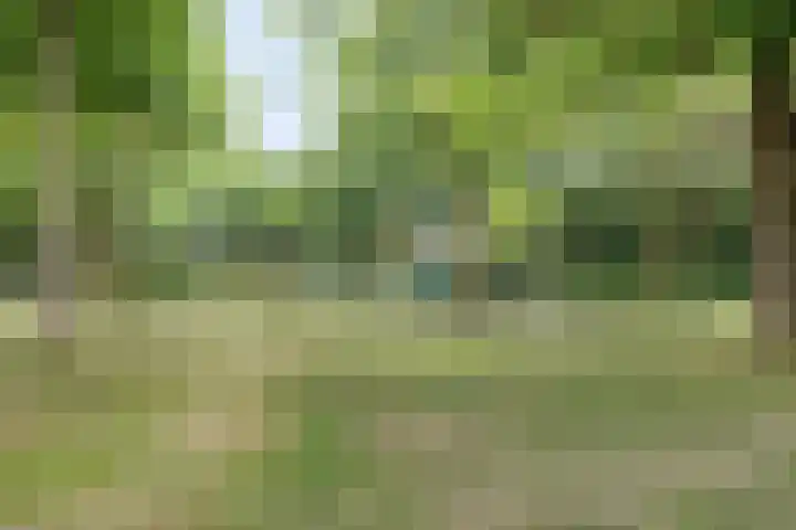 Tarthorst 68 Alphen aan den Rijn thumbnail 37