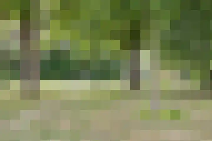 Tarthorst 68 Alphen aan den Rijn thumbnail 38