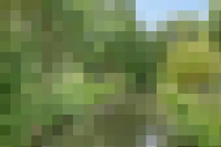 Tarthorst 68 Alphen aan den Rijn thumbnail 39