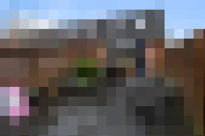 Tarthorst 75 Alphen aan den Rijn thumbnail 19