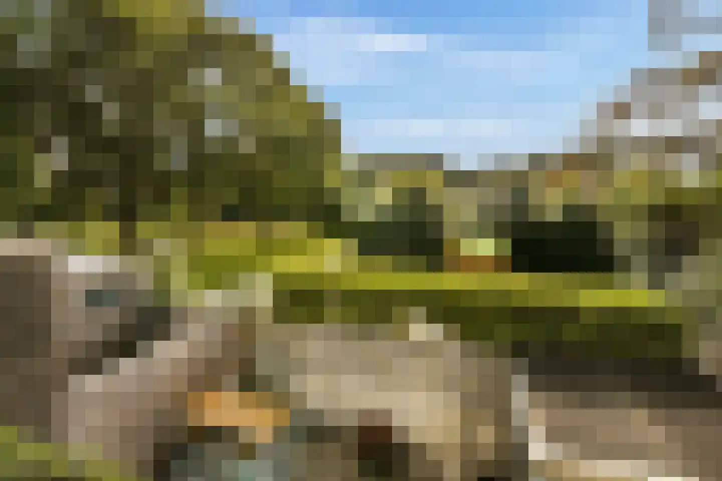 Tartinihof 24 Aalsmeer thumbnail 12