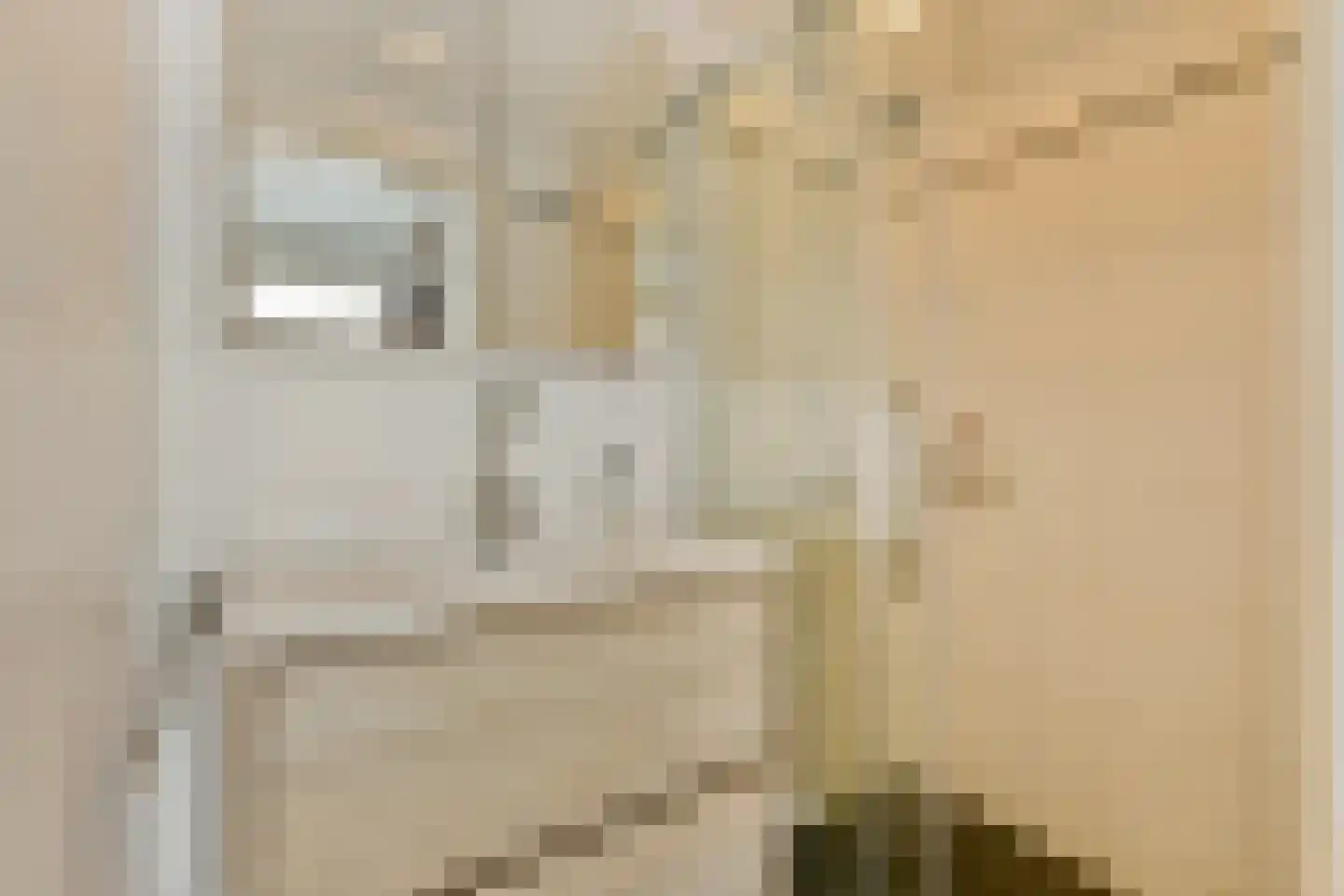 Tartinihof 24 Aalsmeer thumbnail 21