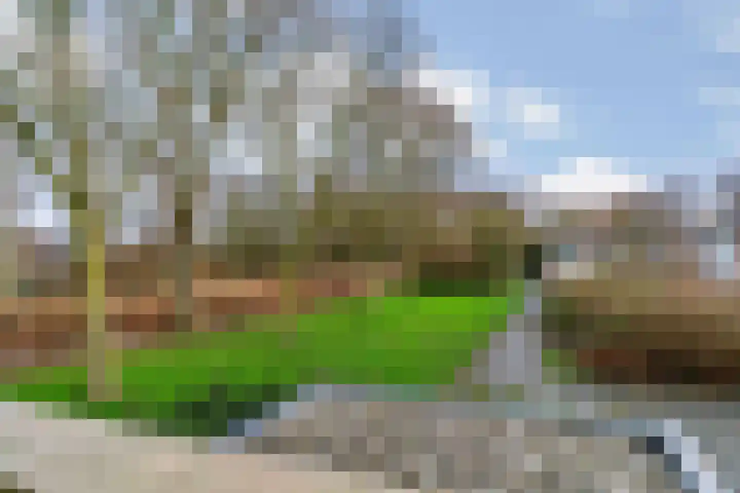 Tartinihof 26 Aalsmeer thumbnail 24