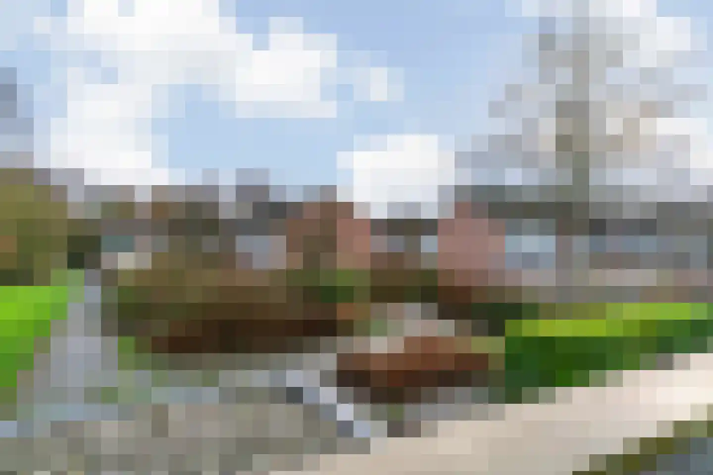 Tartinihof 26 Aalsmeer thumbnail 25