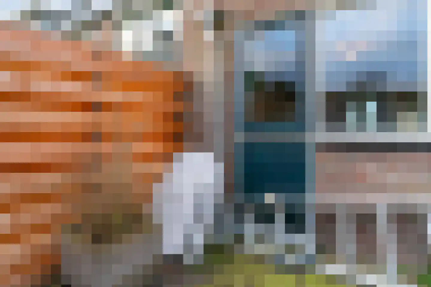 Tartinihof 26 Aalsmeer thumbnail 29
