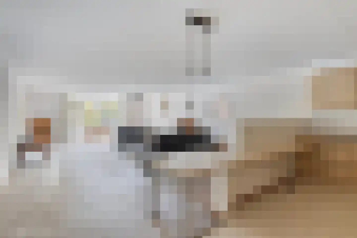 Tartinistraat 29 Eindhoven thumbnail 12